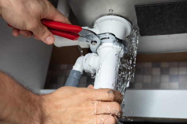 Best Flood restoration services  in Level Plains, AL