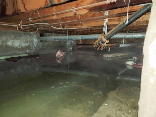 Best Commercial water damage restoration  in Level Plains, AL
