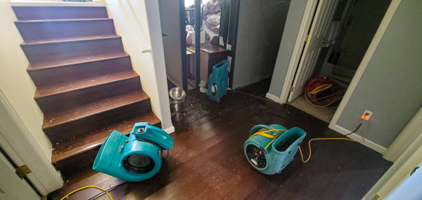 Best 24/7 water damage repair  in Level Plains, AL
