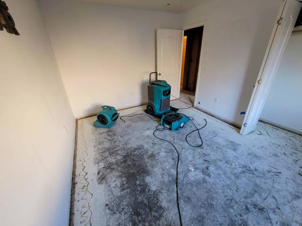 Best Water damage restoration services  in Level Plains, AL