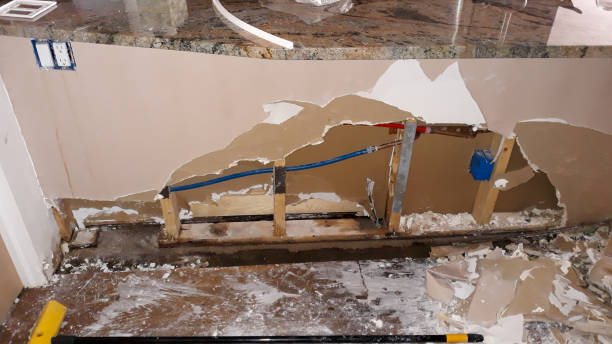  Level Plains, AL Water damage restoration Pros