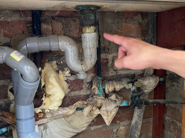Best Carpet water damage restoration  in Level Plains, AL