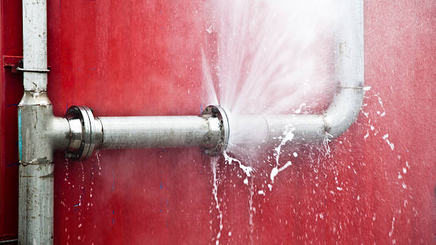 Best Ceiling water damage repair  in Level Plains, AL